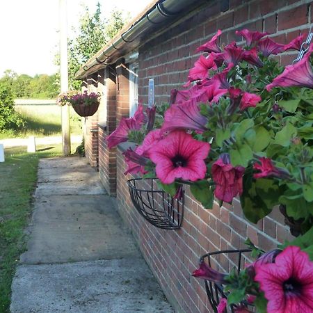 Lockgate Dairy Bed & Breakfast Chichester Luaran gambar