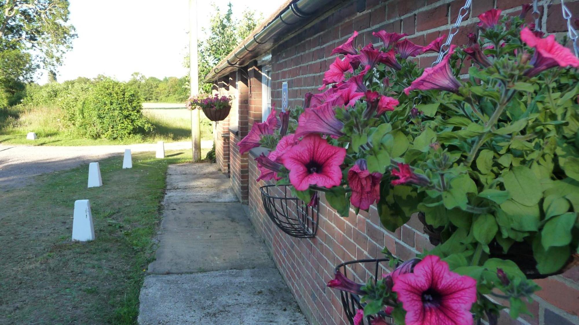 Lockgate Dairy Bed & Breakfast Chichester Luaran gambar